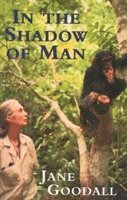 In the Shadow of Man