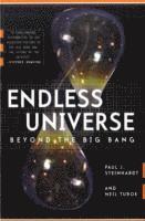Paul J. Steinhardt, Neil Turok - Endless Universe, Häftad