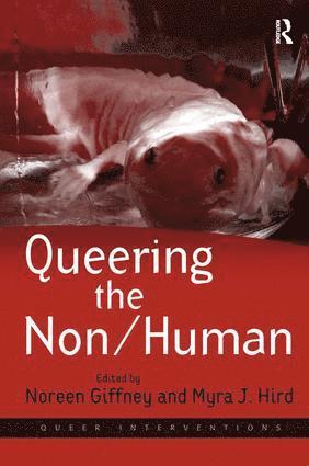 Queering the Non/Human av Myra J Hird, Noreen Giffney