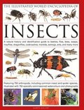 Illustrated World Encyclopaedia of Insects