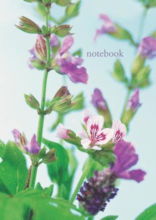Peony Press - Notebook: Scented Geranium, Häftad. Tillgänglighet: Tillfälligt slut