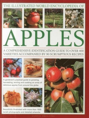 Andrew Mikolajski - Illustrated World Encyclopedia of Apples, Inbunden