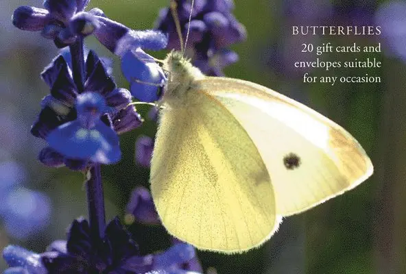 Anness Publishing - Butterfly Gift Card Pack. Tillgänglighet: Tillfälligt slut
