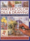 Watercolour, Oil and Drawing