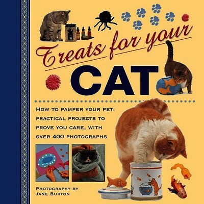 Treats for Your Cat