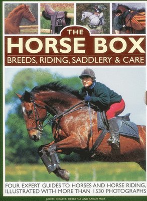 Muir Sarah - Horse Box: Breeds, Riding, Saddlery & Care, Häftad. Tillgänglighet: Tillfälligt slut