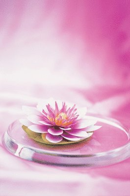 Peony Press - Memo Block Waterlily, Övrigt. Tillgänglighet: Lägg i varukorg