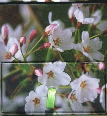 Peony Press - Memo Block Cherry Blossom, Övrigt. Tillgänglighet: Lägg i varukorg