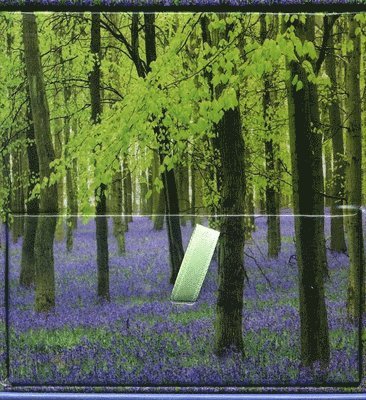 Peony Press - Memo Block - Bluebells, Inbunden. Tillgänglighet: Lägg i varukorg