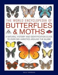 Butterflies &; Moths, The World Encyclopedia of