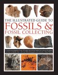Fossils &; Fossil Collecting, The Illustrated Guide to