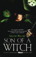 Son of a Witch