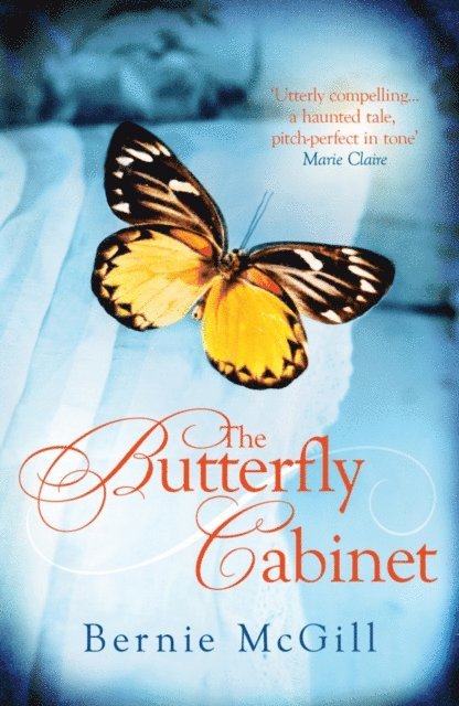 Bernie McGill - Butterfly Cabinet, E-bok