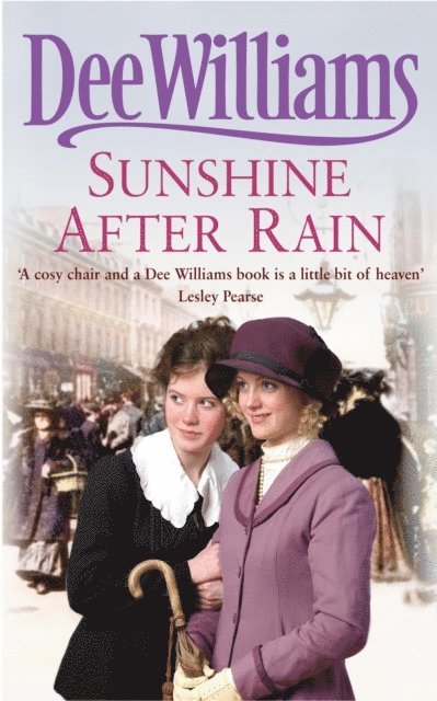 Dee Williams - Sunshine After Rain, E-bok