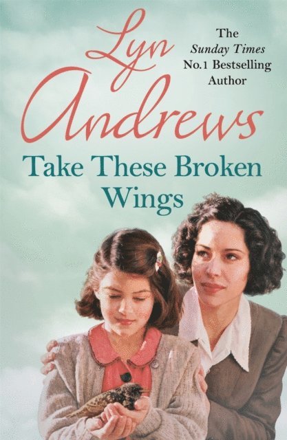 Lyn Andrews - Take these Broken Wings, E-bok