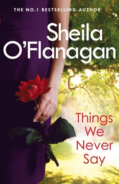 Sheila O'Flanagan - Things We Never Say, E-bok