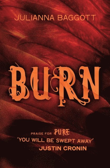 Julianna Baggott - Burn, E-bok