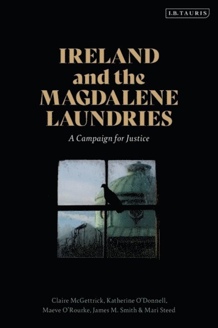 Claire McGettrick, Katherine O’Donnell, Maeve O'Rourke, James M. Smith, Mari Steed - Ireland and the Magdalene Laundries, E-bok
