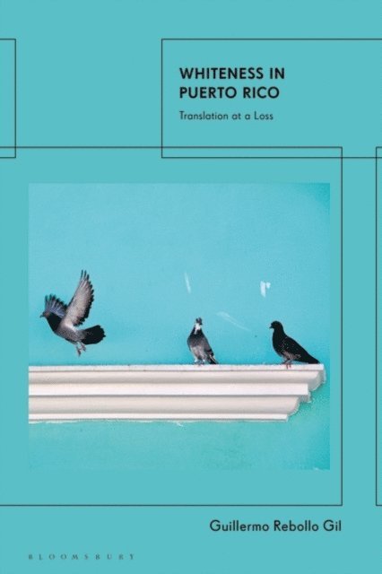 Guillermo Rebollo Gil - Whiteness In Puerto Rico, E-bok