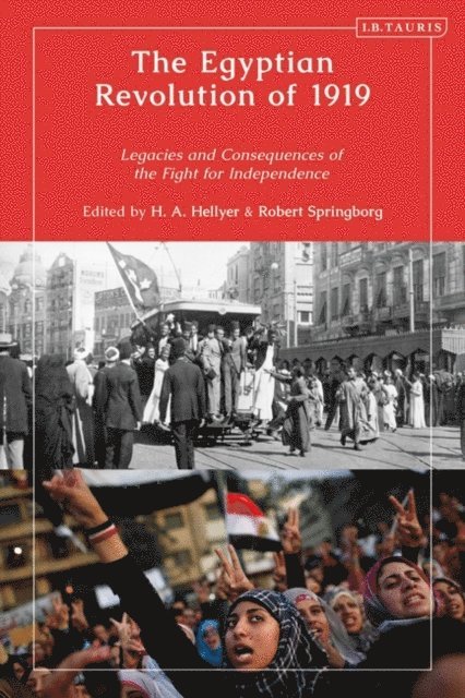 H.A. Hellyer, Robert Springborg - Egyptian Revolution of 1919, E-bok