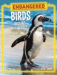 Endangered Birds Around the World