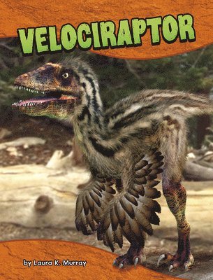 Laura K. Murray - Velociraptor, Inbunden