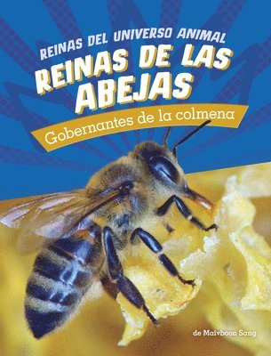 Maivboon Sang - Reinas de Las Abejas: Gobernantes de la Colmena (Bee Queens: Rulers of the Hive), Häftad. Tillgänglighet: Lägg i varukorg