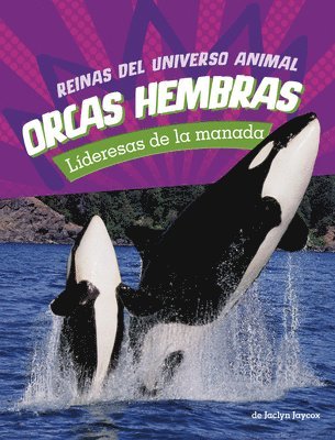 Jaclyn Jaycox - Orcas Hembras: Lideresas de la Manada (Orca Cows: Leaders of the Pod), Häftad