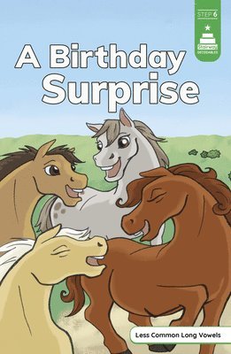Leanna Koch - A Birthday Surprise, Inbunden