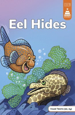 Leanna Koch - Eel Hides, Inbunden