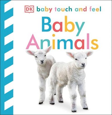 Baby Touch and Feel: Baby Animals av Dk