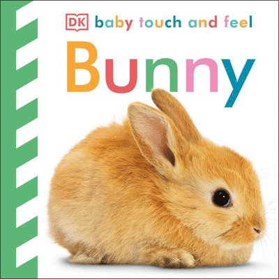 DK - Baby Touch and Feel: Bunny, Kartonnage