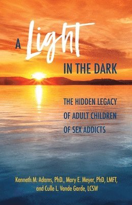 Kenneth M. Adams, Mary  E. Meyer, Culle L. Vande Garde - Light in the Dark, Häftad. Tillgänglighet: Lägg i varukorg