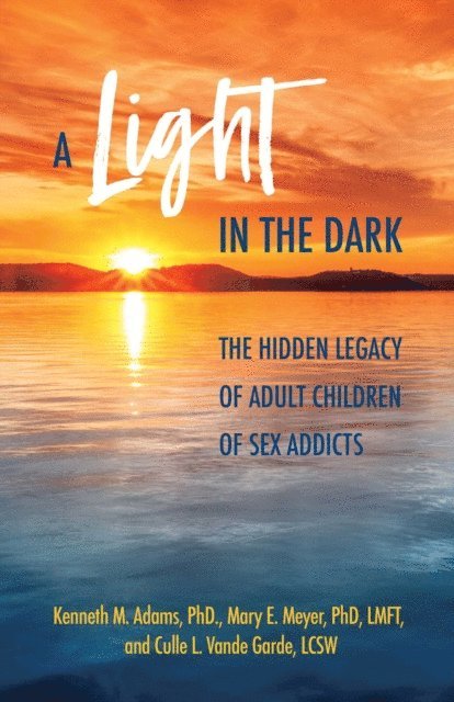 Culle L. Vande Garde, Mary  E. Meyer, Kenneth M. Adams - Light in the Dark, E-bok