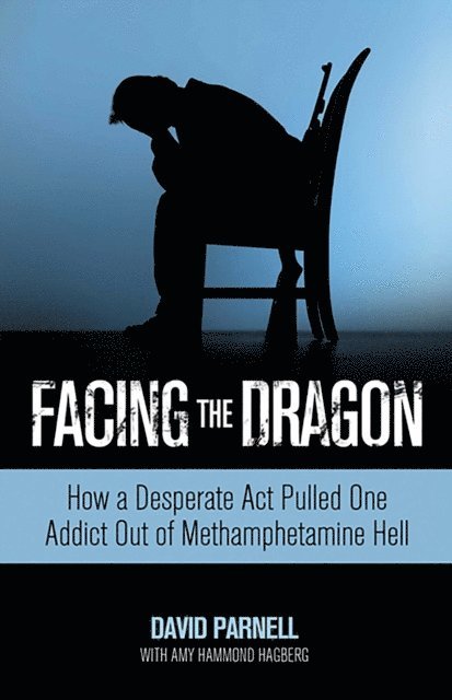 Amy Hagberg, David Parnell - Facing the Dragon, E-bok