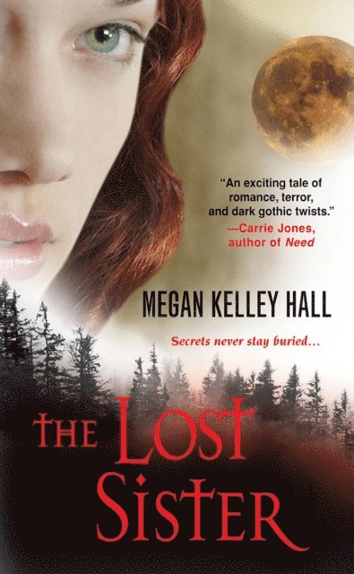 Megan Kelley Hall - Lost Sister, E-bok