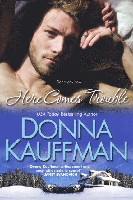 Donna Kauffman - Here Comes Trouble, E-bok