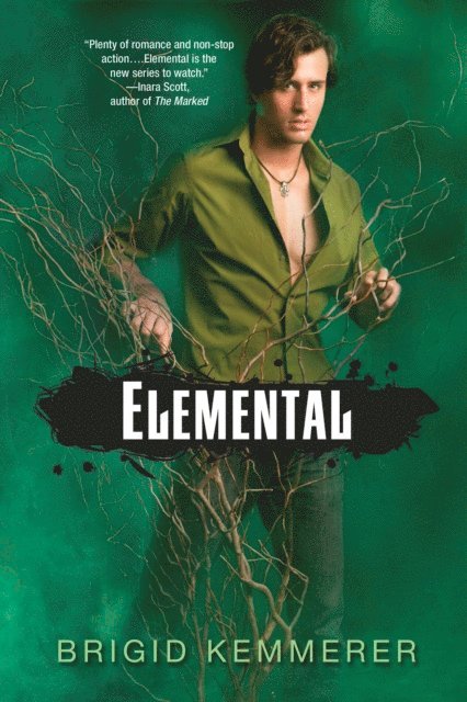 Brigid Kemmerer - Elemental, E-bok