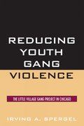 Reducing Youth Gang Violence