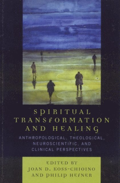 Joan D. Koss-Chioino, Philip Hefner - Spiritual Transformation and Healing, E-bok