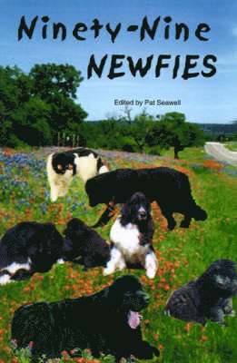 Ninety-nine Newfies