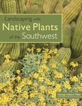 Landscaping With Native Plants Of The Southwest