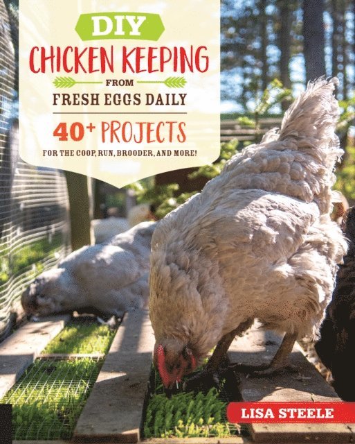 Lisa Steele - DIY Chicken Keeping from Fresh Eggs Daily, E-bok