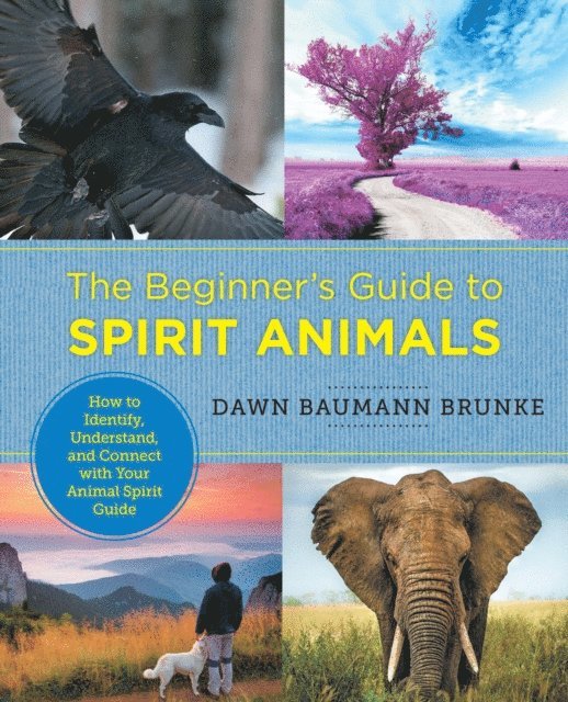 Dawn Baumann Brunke - Beginner's Guide to Spirit Animals, E-bok