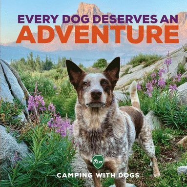 Every Dog Deserves an Adventure av Camping with Dogs, L J Tracosas