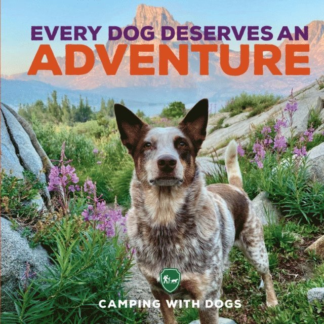 Camping with Dogs, L. J. Tracosas - Every Dog Deserves an Adventure, E-bok