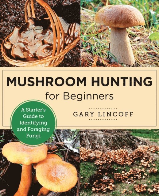 Gary Lincoff - Mushroom Hunting for Beginners, E-bok. Tillgänglighet: Lägg i varukorg