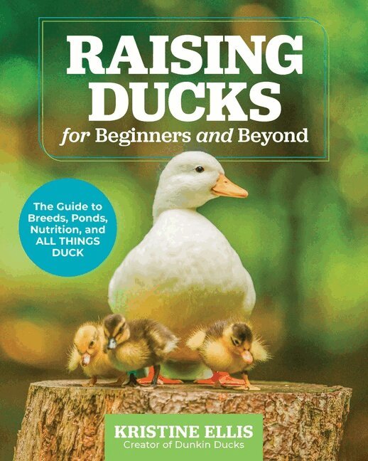 Kristine Ellis - Raising Ducks for Beginners and Beyond, Häftad