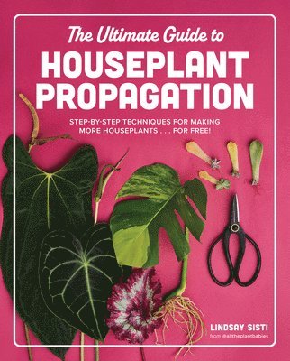 Ultimate Guide to Houseplant Propagation
