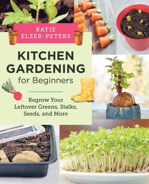 Katie Elzer-Peters - Kitchen Gardening for Beginners, E-bok